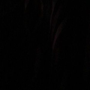 Meet your Posher, Shance